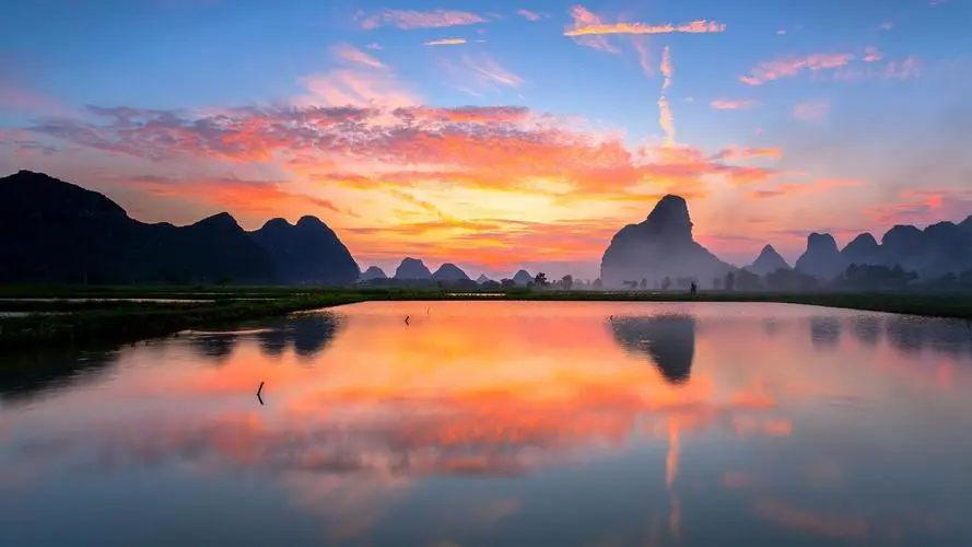 智能绿色全自动